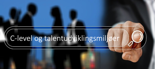 C-level og talentudviklingsmiljøer